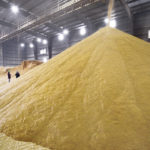 The feed value of dried distillers grain has been enhanced through new technology that extracts additional co-products. | File photo