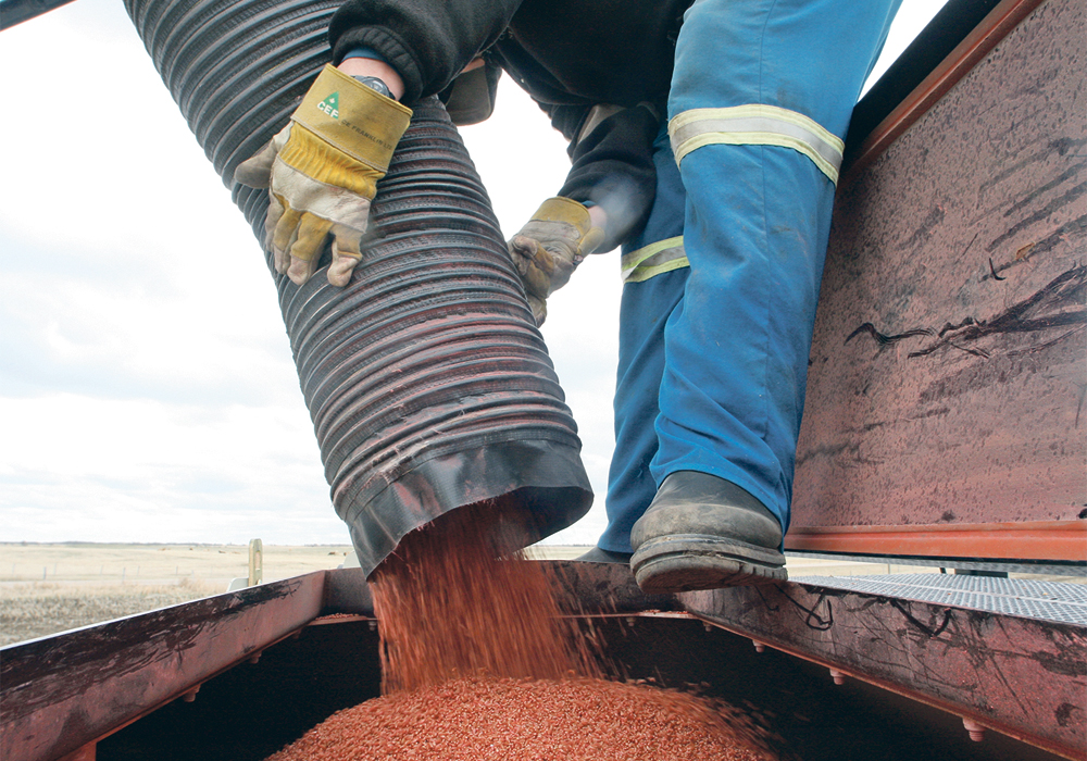 Agriculture Canada began exploring seed royalties two years ago, but no decision has yet been made.  |  File photo