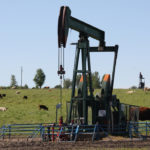 As of last month, rural municipalities had approximately $173 million owing in unpaid taxes from oil and gas companies. Some haven’t paid because they’ve gone into receivership or are bankrupt, but others still have functioning wells and are simply not paying.
| File photo
