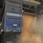 Arie Vandertweel, who farms near Ridgedale, Sask., about 250 kilometres northeast of Saskatoon, began asking questions about the accuracy of commercial moisture testers a few weeks ago after he delivered a load of peas to an elevator in northeastern Saskatchewan.
| File photo