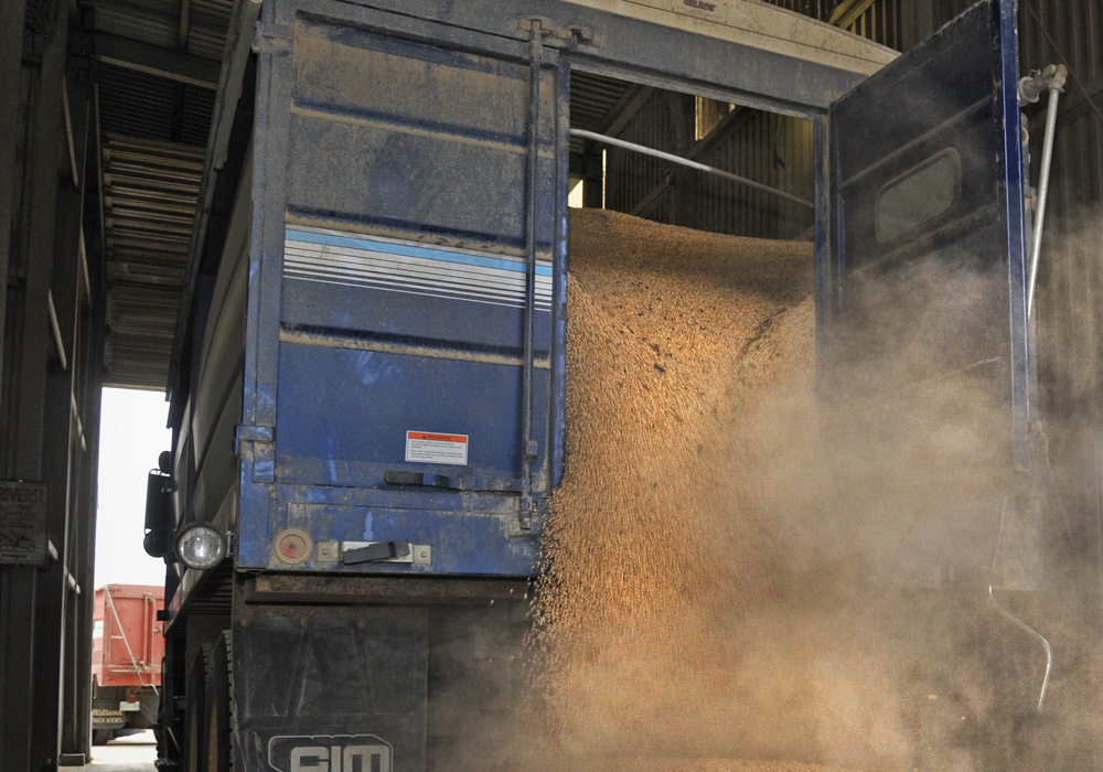 Arie Vandertweel, who farms near Ridgedale, Sask., about 250 kilometres northeast of Saskatoon, began asking questions about the accuracy of commercial moisture testers a few weeks ago after he delivered a load of peas to an elevator in northeastern Saskatchewan.  | File photo