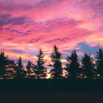 Winter can be a beautiful time of year. Why not make it better with a variety of comfort foods. | Jodie Mirokovsky photo