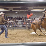 Rod Olsen of Leavitt, Alta., uses a garrocha pole as an exercise to relax and guide a three-year-old mare around the arena. | William DeKay photo