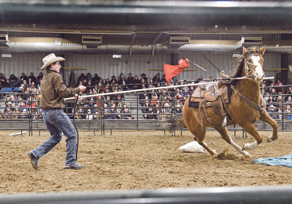 Rod Olsen of Leavitt, Alta., uses a garrocha pole as an exercise to relax and guide a three-year-old mare around the arena. | William DeKay photo