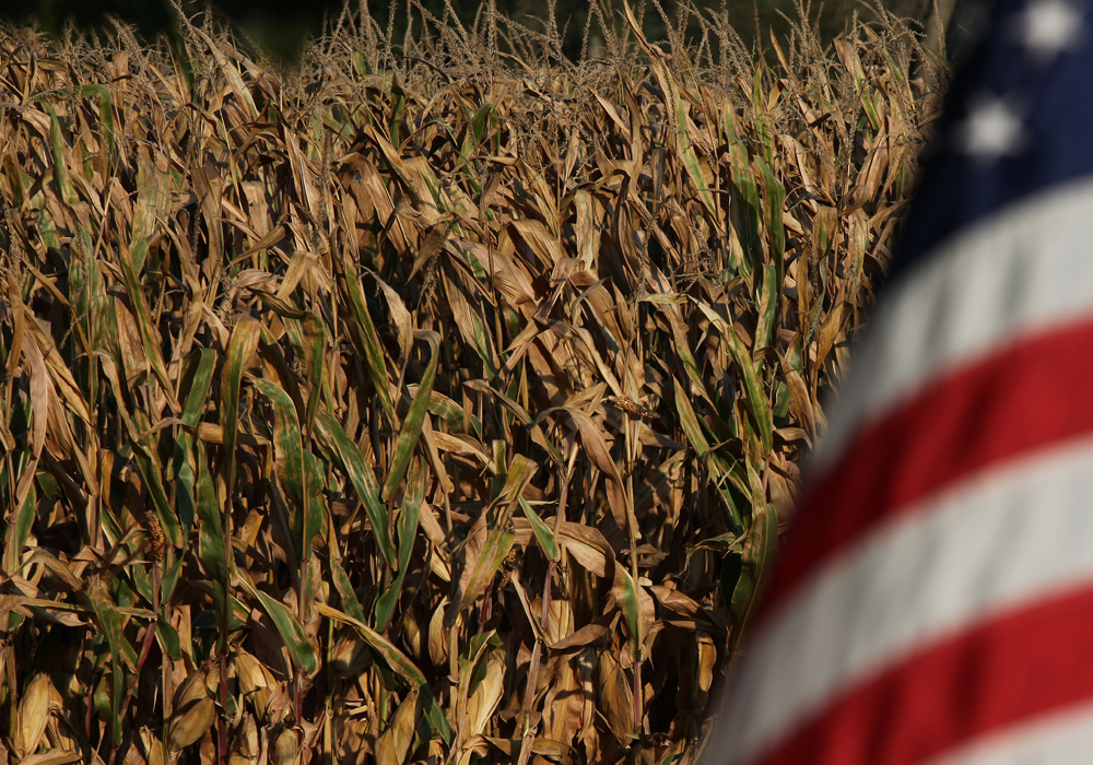 Efforts to expand U.S. biofuels use have been welcomed by corn growers and biofuel producers, but have angered the oil industry, which views biofuels as a competition for petroleum-based fuels. | File photo