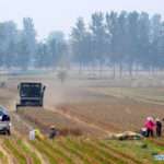 More than half of China's grain area is planted in the spring, Pan Wenbo, director of planting administration at the Ministry of Agriculture and Rural Affairs, told a media briefing, but roadblocks intended to curb the spread of the virus have also served as an obstacle to planting. | Screencap via agri.gov.cn