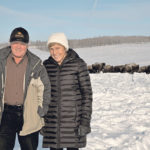 Bison producers Armin and Rita Mueller have donated $4 million to Lakeland College to help establish a new bison program. | Lakeland College photo