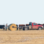 It is important for farmers to know who is considered a worker when understanding Alberta’s new farm safety legislation. | Mike Sturk photo