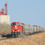 A senior executive of a major Mexican oat customer says the regular service of Canada’s two major railways has “become a big problem.” | File photo