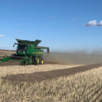 The Canadian supply/demand numbers were left unchanged from the previous month, with the USDA predicting a Canadian canola carryout for 2019/20 of 3.744 million tonnes. | File photo