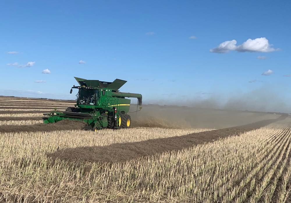 The Canadian supply/demand numbers were left unchanged from the previous month, with the USDA predicting a Canadian canola carryout for 2019/20 of 3.744 million tonnes. | File photo