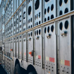 The updated code involves common elements such as the need for transport truck driver training and protection against excess cold and heat while in transport. | File photo