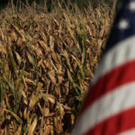 If gasoline consumption falls by 15 to 20 percent over the next two months it could reduce 2019-20 corn consumption by 120 to 170 million bushels, according to Todd Hubbs, assistant professor of agricultural commodity markets at the University of Illinois. | File photo