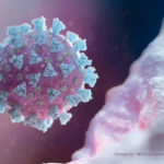 The coronavirus gets its name from the crown-like spikes on its surface. | Reuters photo