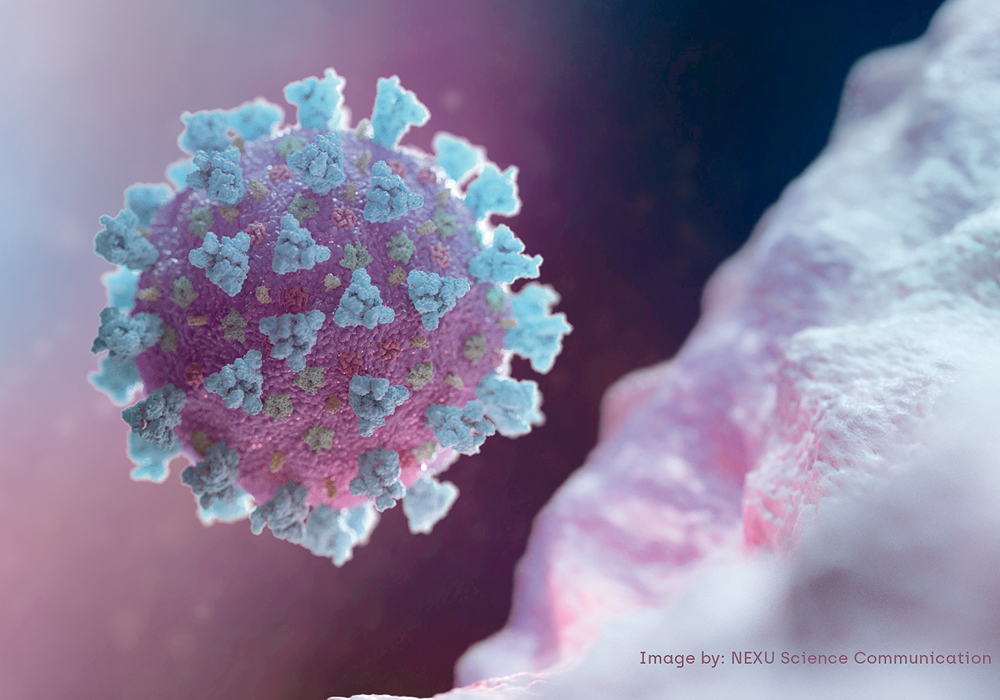 The coronavirus gets its name from the crown-like spikes on its surface.  |  Reuters photo