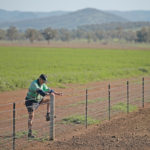 Farmer Kevin Tongue is seen next to a field of alfalfa on his drought-affected farm near Tamworth, New South Wales, Australia in February. There are signs the three-year drought is coming to an end. | Reuters photo