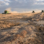 Canada Prairie Red Spring (CPRS) saw the largest increases, with bids up by more than C$20 per tonne. Increases for Canadian Western Red Spring Wheat (CWRS) were in the teens, while those for Canadian Western Amber Durum (CWAD) remained under C$10 per tonne. | File photo