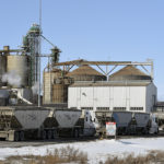 Canola hauling appears to be business as usual at the Cargill Ag Horizon facility near Clavet, Sask. | William DeKay photo