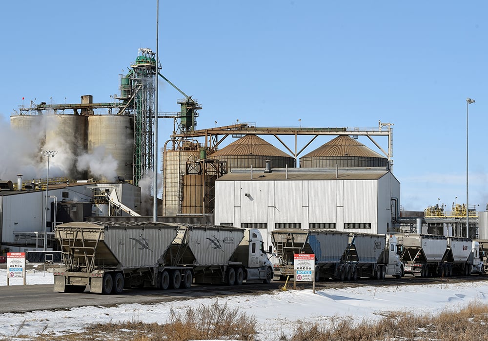 Canola hauling appears to be business as usual at the  Cargill Ag Horizon facility near Clavet, Sask.  |   William DeKay photo