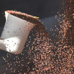 As canola and other farm commodities made strong gains over the last week, there was something a little strange about things, according to Winnipeg-based trader Bill Craddock. | File photo