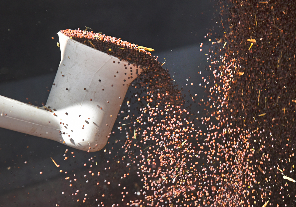 As canola and other farm commodities made strong gains over the last week, there was something a little strange about things, according to Winnipeg-based trader Bill Craddock. | File photo