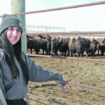 Payton Molnar of Melville has established her own bison herd, following in her family's footsteps. | Karen Briere photo