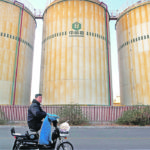 A man rides past storage facilities of China's state grain company Sinograin near Tianjin port, China. | REUTERS/Yilei Sun photo
