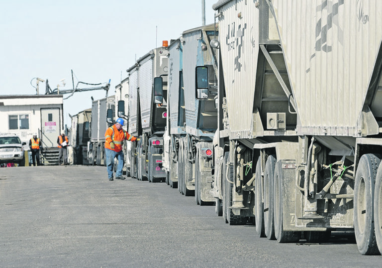 Bulk grain shipments expected to improve The Western Producer