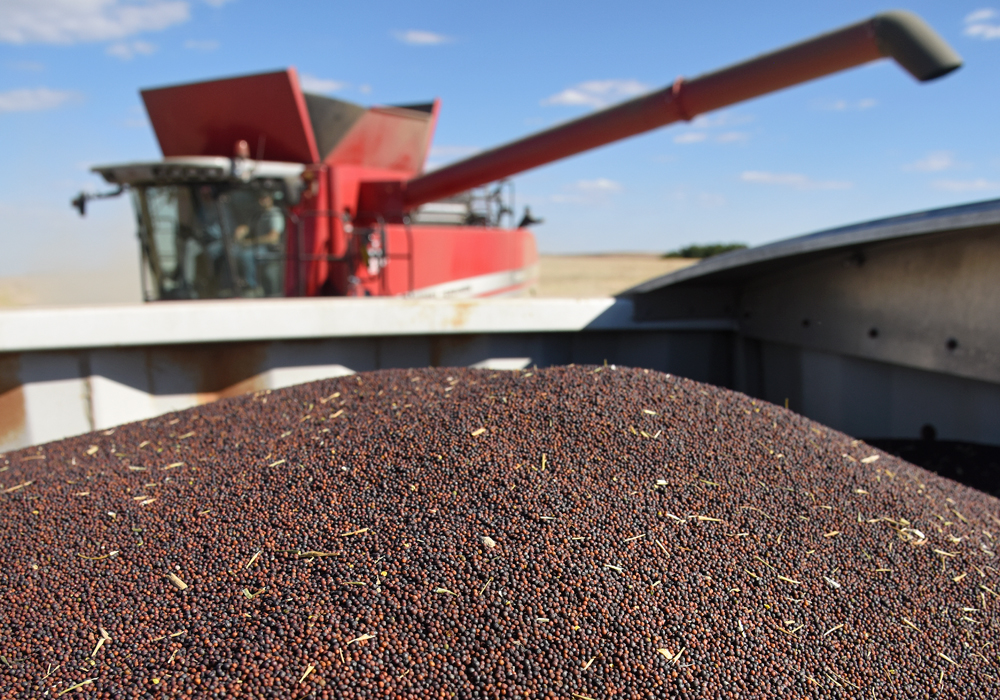 Officials from China's customs administration and Canada's farm ministry spoke on Tuesday, two sources said. | File photo