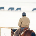 The CCA and ACFA are closely following market and supply chain developments related to the pandemic. In the country, there’s also a close watch on soon-to-calve cattle, as this rancher is doing. | Mike Sturk photo