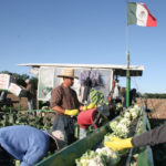 In Canada, where farms rely on 60,000 temporary foreign workers, their arrivals are delayed by initial border restrictions and grounded flights. Once they arrive, the federal government requires them to be isolated for 14 days with pay, unable to work. | File photo