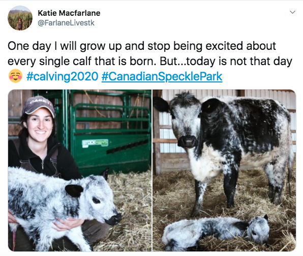 Farmers: Show homebound town and city people something to smile about