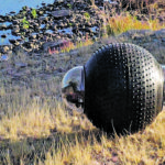 The various versions of GuardBot range in size from six-inches in diameter all the way up to seven feet. But it's always round, except for the two clear pods which can contain ground penetrating radar and geologic testing equipment to collect subsurface data. On land it rolls along at speeds up to 12 miles per hour. In water it splashes along at three m.p.h. It can move forward or backward and make 360 degree spins. It can operate continuously for up to 25 hours on one charge. | Aquiline photo
