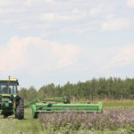 The federal government has introduced changes to help students looking for summer jobs find employment in agriculture. | File photo