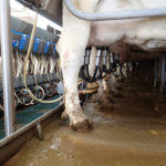 The near complete shutdown of the restaurant industry has caused demand for key dairy products to decline. | File photo