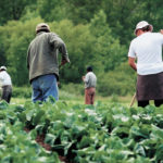 Foreign workers are allowed to travel to Canada and will be assessed at their port of entry. After that, they are required to isolate for 14 days, whether or not they have symptoms. The same rule applies to Canadians returning from any other country.
| File photo