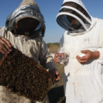 Rod Scarlett, executive director of the Canadian Honey Council, said some foreign workers have arrived, but he stopped short of expressing confidence that the usual number of foreign workers employed in Canadian beekeeping and honey production will be available this year due to various issues surrounding the pandemic and its travel and health restrictions and requirements.
| File photo