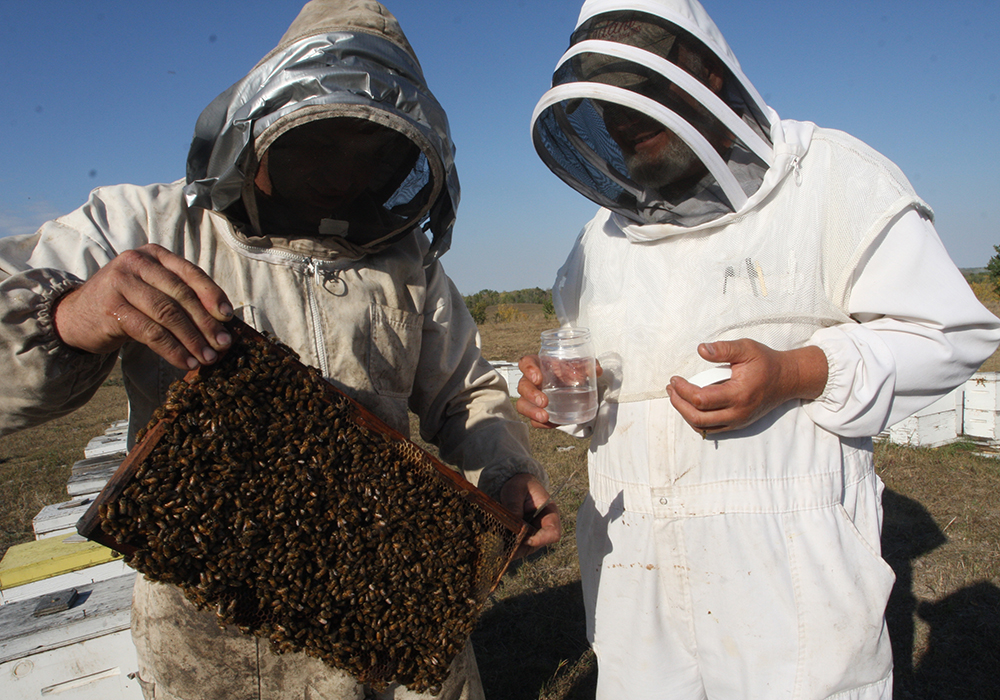 Rod Scarlett, executive director of the Canadian Honey Council, said some foreign workers have arrived, but he stopped short of expressing confidence that the usual number of foreign workers employed in Canadian beekeeping and honey production will be available this year due to various issues surrounding the pandemic and its travel and health restrictions and requirements.  | File photo