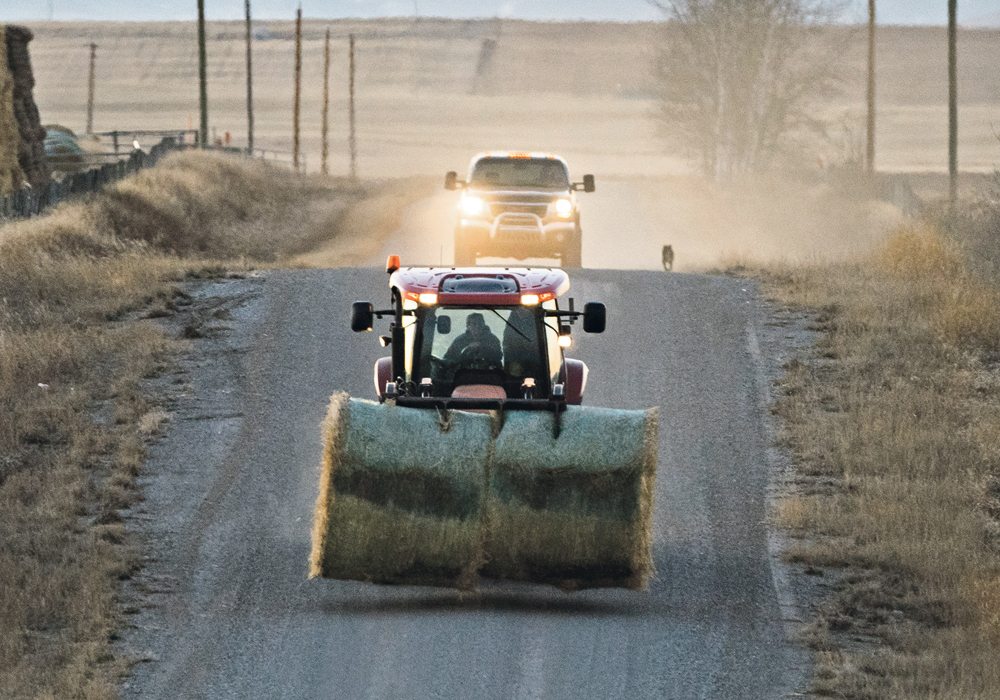 “We must ensure Canada’s domestic food supply is secure, not only for the duration of this battle, but long into the future as well,” said CFA president Mary Robinson.  | File photo