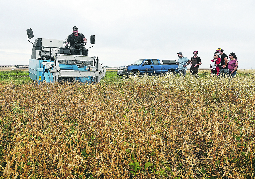 Producer groups say uncertainty over Agriculture Canada’s participation in research projects this summer is becoming urgent because of the timing of the growing season.  |  File photo
