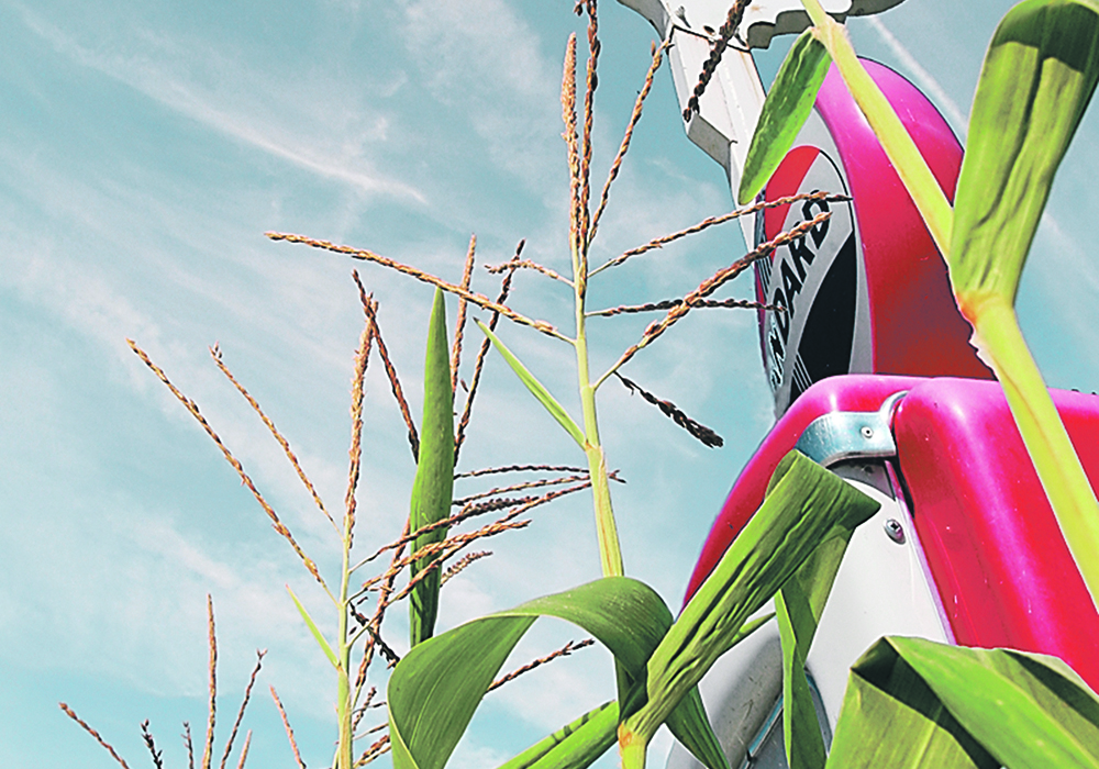 Corn’s biggest problem is faltering demand from the ethanol sector, which is estimated to be operating at 50 to 60 percent of capacity because of COVID-19 travel restrictions and low crude oil prices.  |  File photo
