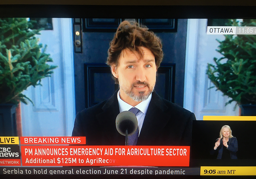 The money includes $125 million in AgriRecovery for the pork and beef sectors, $77 million for food processors and packers to add personal protective equipment for workers and $50 million for a surplus food purchase program. | Screencap via CBC.ca