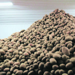 Compounding last fall’s bad harvest is shrinking demand this year because of the COVID-19 pandemic, which will slash potato acres in the province. | File photo