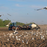 Grain farmers in Saskatchewan had approximately seven percent of this year's crop in the ground as of May 4, according to Saskatchewan Agriculture's first weekly crop report for 2020, which was released earlier today. | File photo