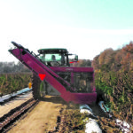 Hiniker's new hemp harvester eliminates the hand-work that is normally associated with harvesting the medicinal crops in the field. The rotary cutters are similar to hay tools, while the adjustable augers are reminiscent of forage harvester gear. Conveyors 42 inches wide carry the product to the wagon or truck box. | Hiniker photo