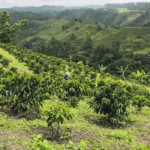 Colombia’s terrain is not suited for large-scale mechanized production. | Arlene and Robin Karpan photo