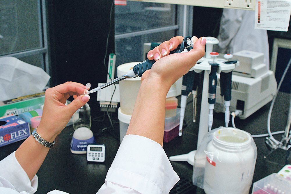 Veronique Barthet, program manager of oilseeds at the CGC’s Grain Research Laboratory in Winnipeg, says new workplace protocols have been implemented at the lab to ensure that CGC staff can safely resume work.  | File photo