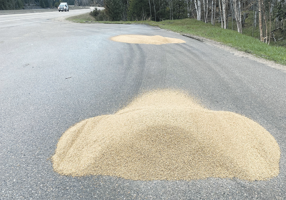 The most recent dump of oats this year occurred at the Ivy Creek pull-out. RCMP say the average amount of grain during a single dump weighs 400 to 700 pounds.  |  RCMP photo