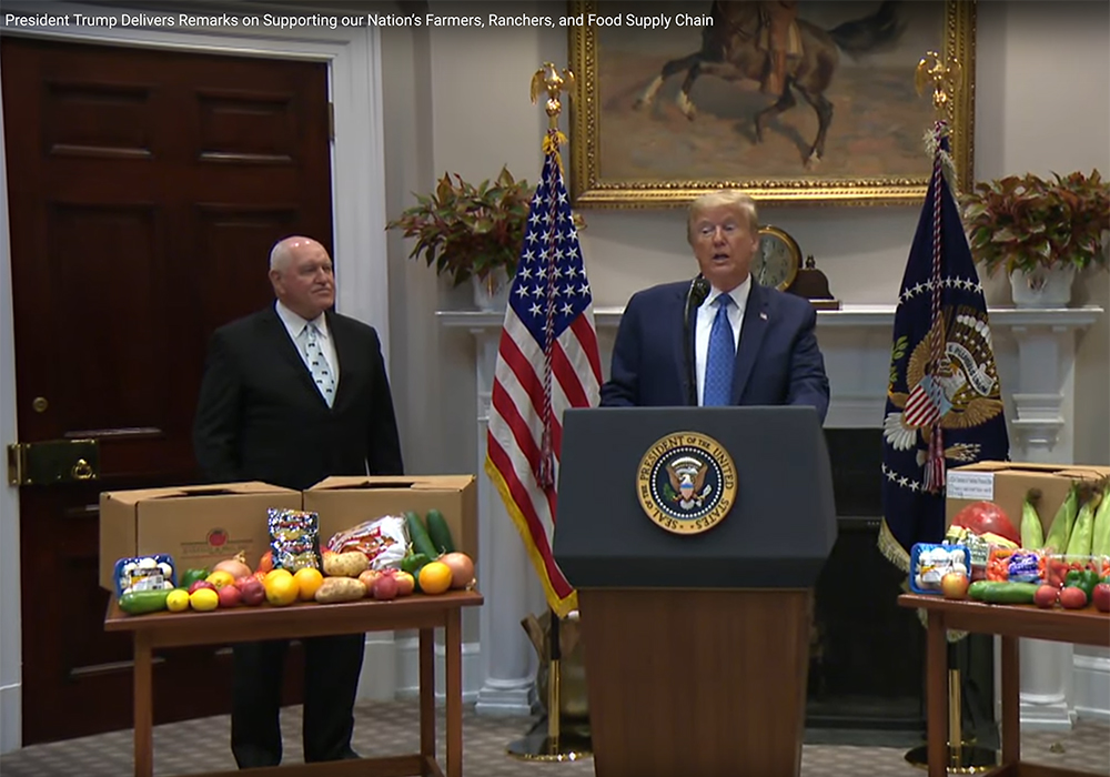 Trump made the comments at a White House event held to discuss $19 billion in agricultural relief approved by Congress. He did not mention specific trade deals or countries when talking about cattle. | Screencap via YouTube/The White House