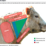 Vaccination time: what producers should know